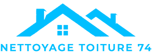 nettoyage-nettoyage-toiture-74